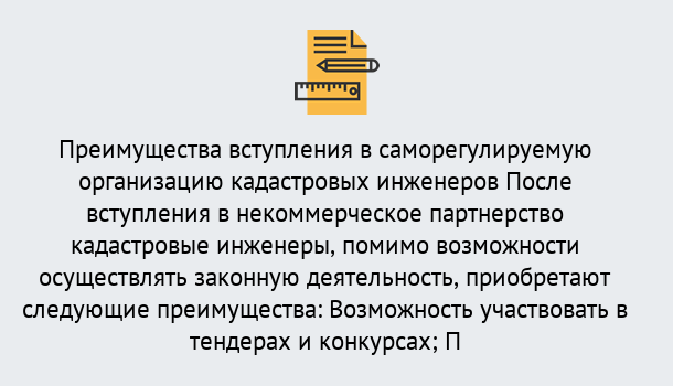 Почему нужно обратиться к нам? Клинцы Что дает допуск СРО кадастровых инженеров?