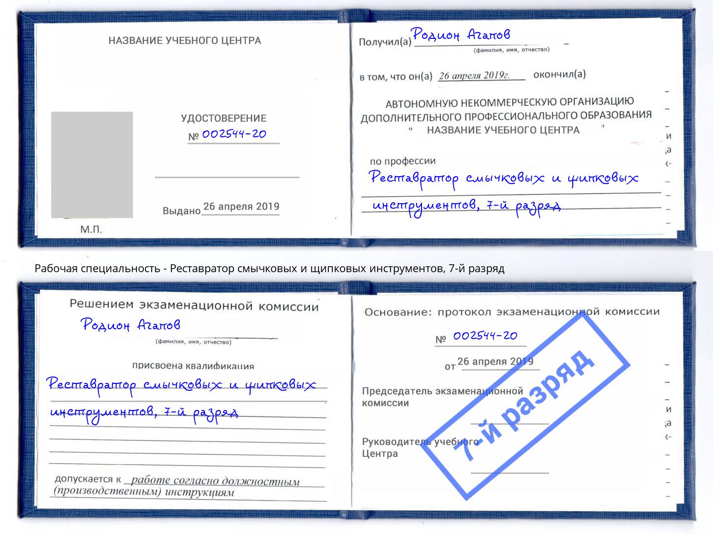 корочка 7-й разряд Реставратор смычковых и щипковых инструментов Клинцы